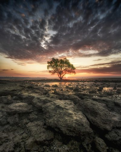 Nunsui Beach_Kupang