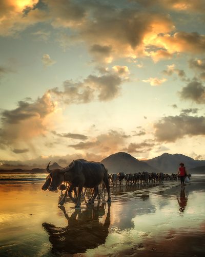 Selong Belanak_Lombok copy