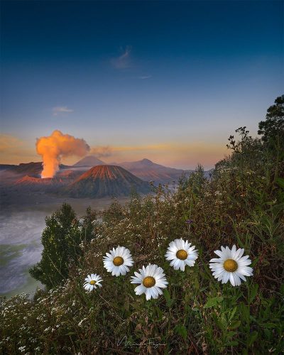 Seruni Point Bromo